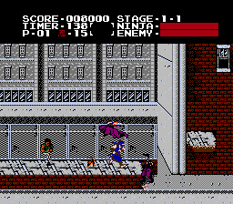 Ninja Gaiden - Evil Edition Screenshot 1